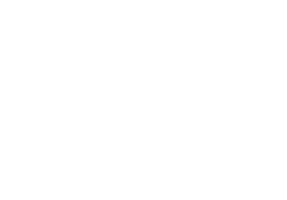 A FTN 標誌